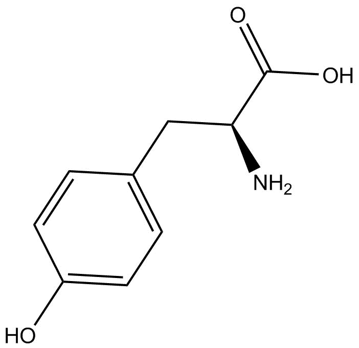 L-Tyrosine