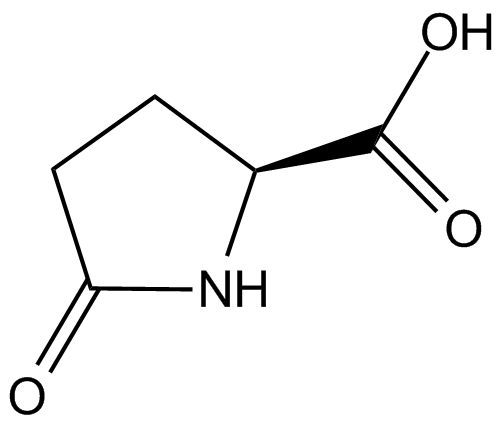 L-Pyroglutamic acid