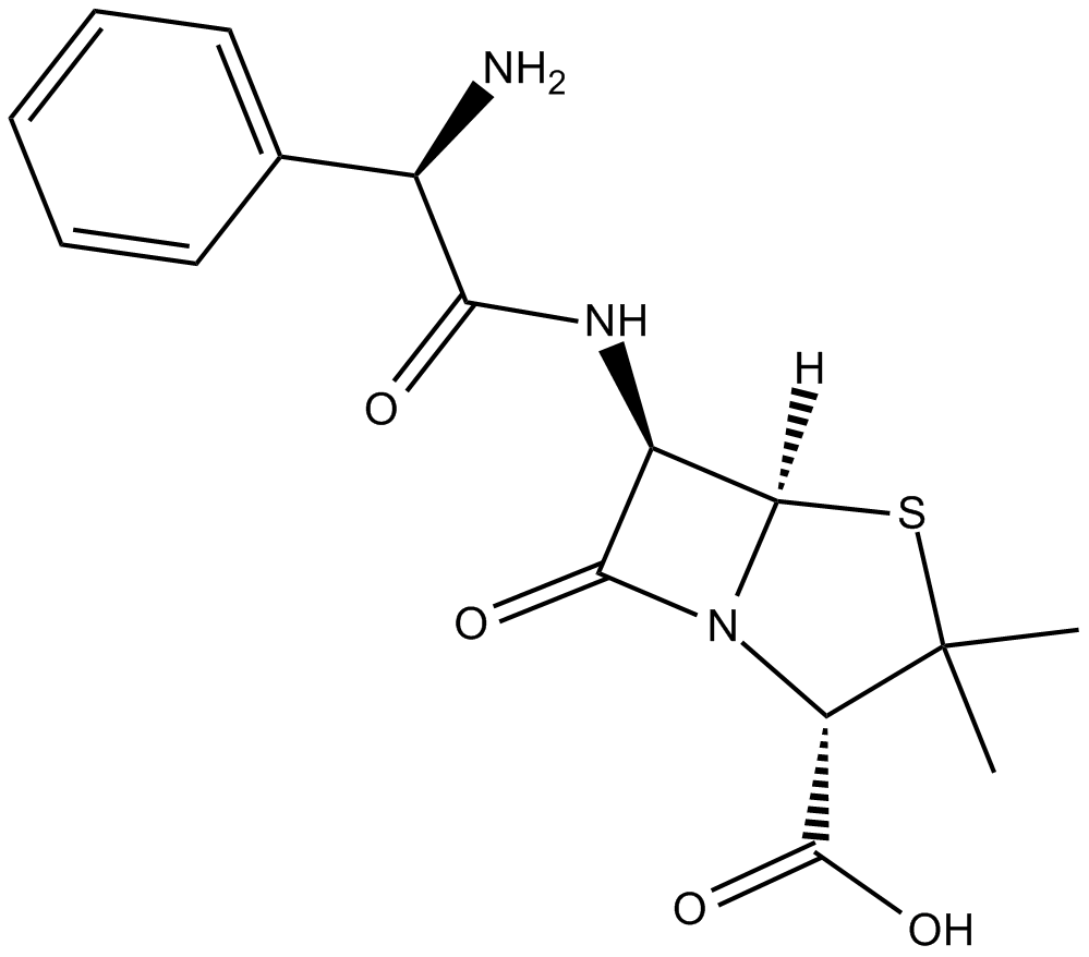Ampicillin
