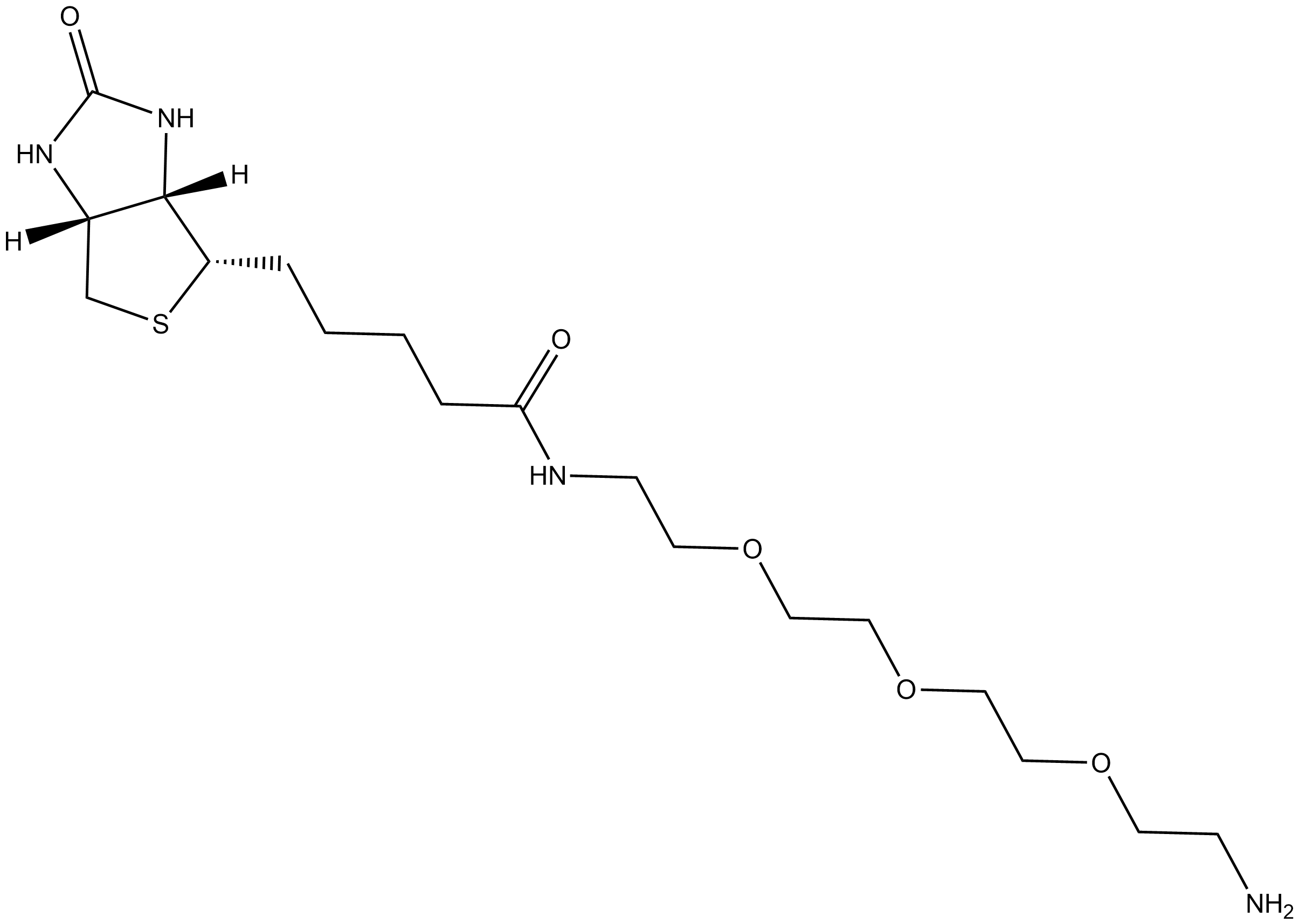 Amine-PEG3-Biotin