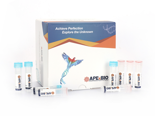Mouse iPSC Chemical Reprogramming Cocktails Kit