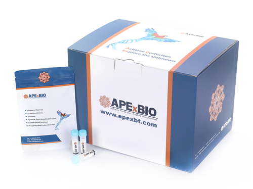 Taq DNA Polymerase