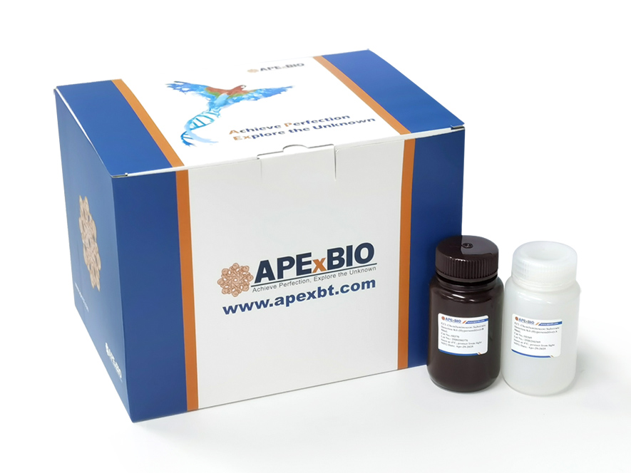 ECL Chemiluminescent Substrate Detection Kit (Hypersensitive)