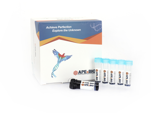 HyperLight™ dsDNA BR Assay Kit