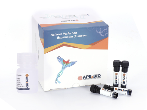 Calpain Activity Fluorometric Assay Kit