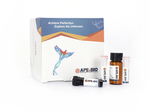 GSH and GSSG Assay Kit