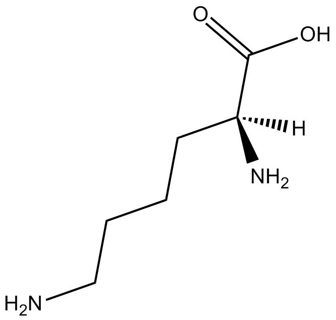 L-Lysine