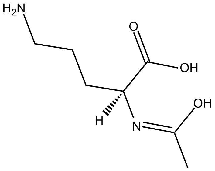 N-acetylornithine