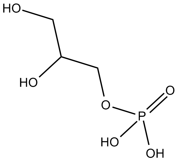 glycerol 3-phosphate (G3P)
