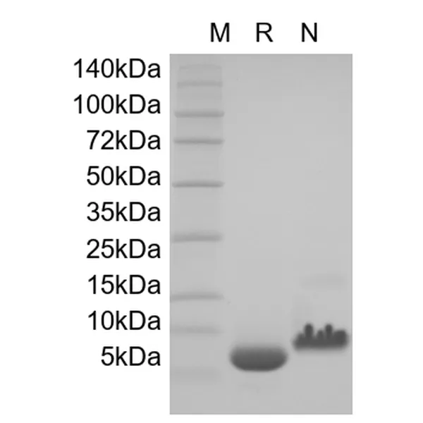igf 1 lr3 reconstitution calculator IGF-1 UK | Research Grade Peptide Understanding peptide handling starts with
