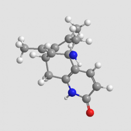 huperzine a nmda receptor antagonist