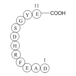 Beta-Amyloid (1-11)