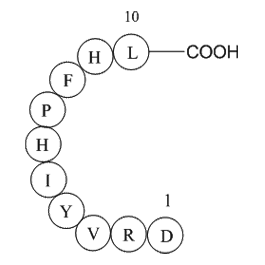 Angiotensin I (human, mouse, rat)