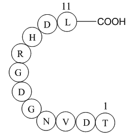 Platelet Membrane Glycoprotein IIB Peptide (296-306)