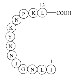 β-Interleukin II (44-56)