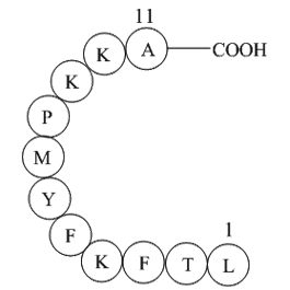 Interleukin II (60-70)