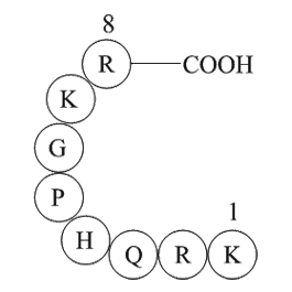 TRH Precursor Peptide