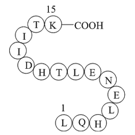 alpha-1 antitrypsin fragment