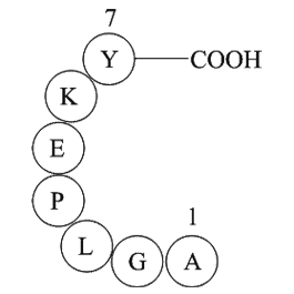 amyloid A protein fragment [Homo sapiens]