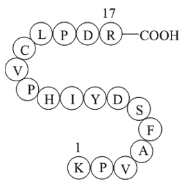 coagulation factor II (thrombin) B chain fragment [Homo sapiens]