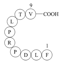 Cytochrome P450 CYP1B1 (190-198) [Homo sapiens]