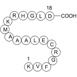 egg white lysozyme (19-36) [Gallus gallus]