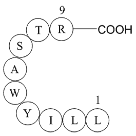 immunoglobulin light chain variable region fragment [Homo sapiens]/[Mus musculus]