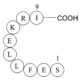 Large T antigen - rhesus polyomavirus 560-568