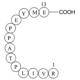 matrix protein (3-15) [Zaire ebolavirus]