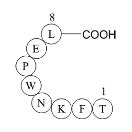 survivin (baculoviral IAP repeat-containing protein 5) (21-28)