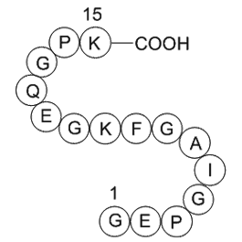 type II collagen fragment