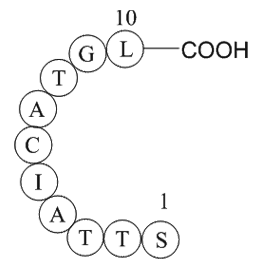 ubiquitin specific protease 3 fragment