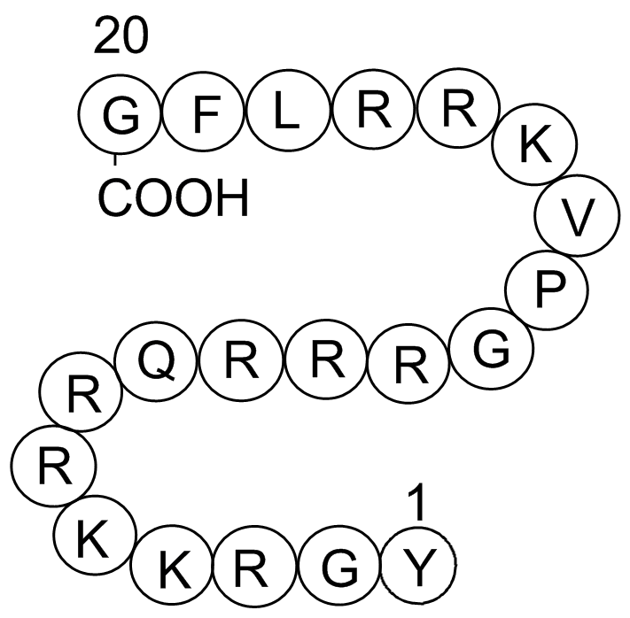 Cdk2/Cyclin Inhibitory Peptide I