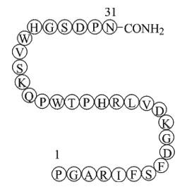 Endostatin (84-114)-NH2 (JKC367)