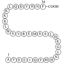 Parathyroid Hormone (1-34), bovine