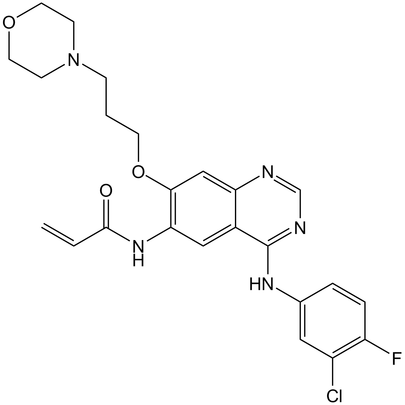 Canertinib (CI-1033)