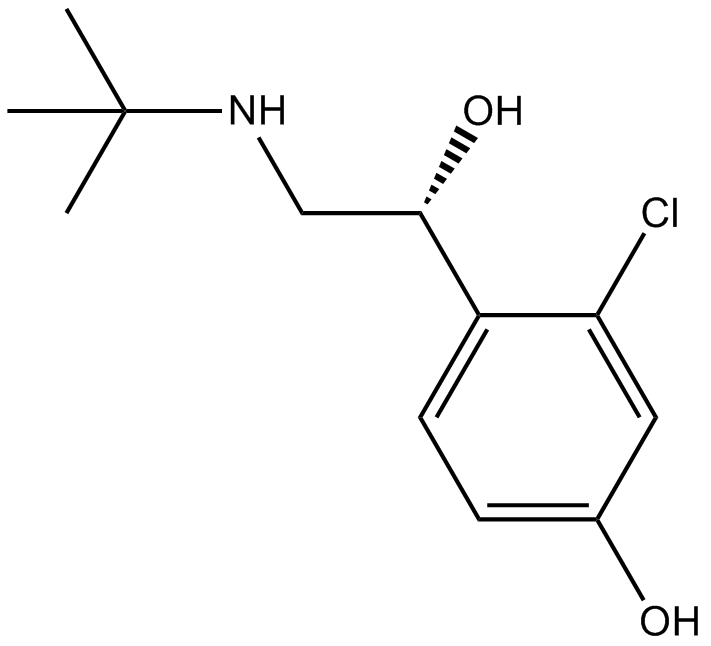 HOKU-81