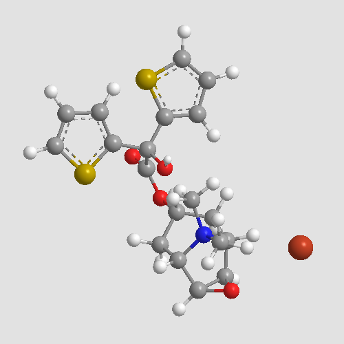 Tiotropium Bromide