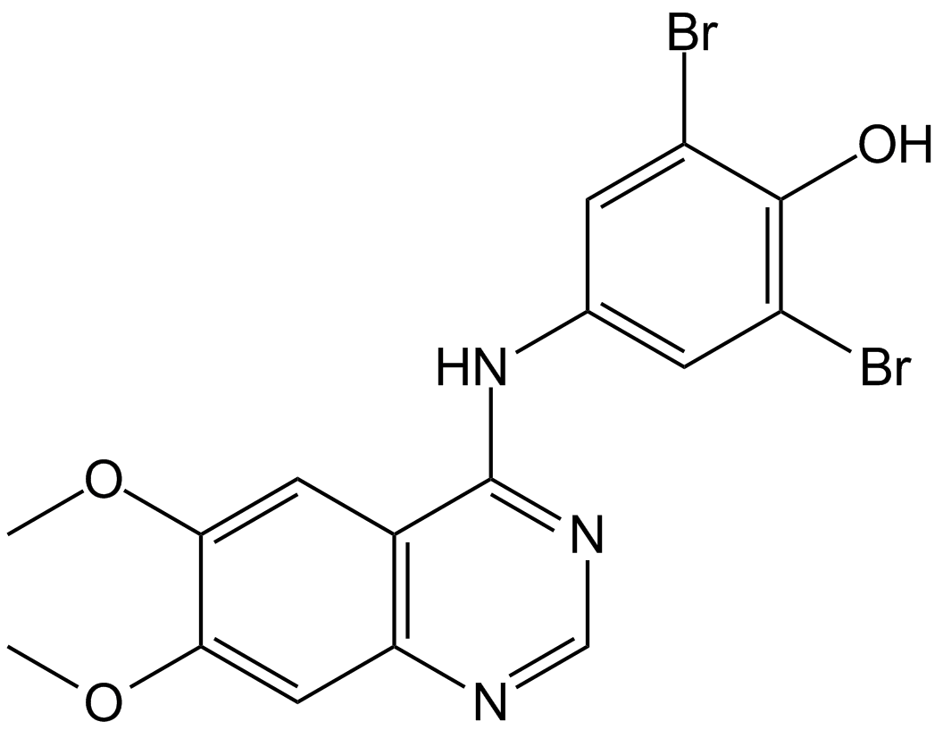 WHI-P97