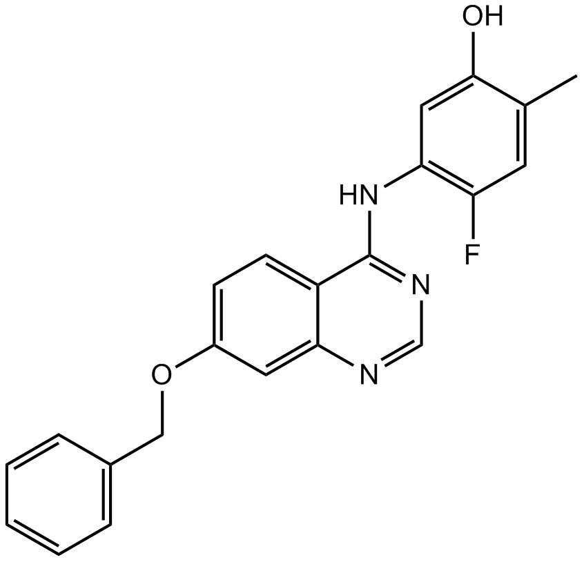 ZM323881