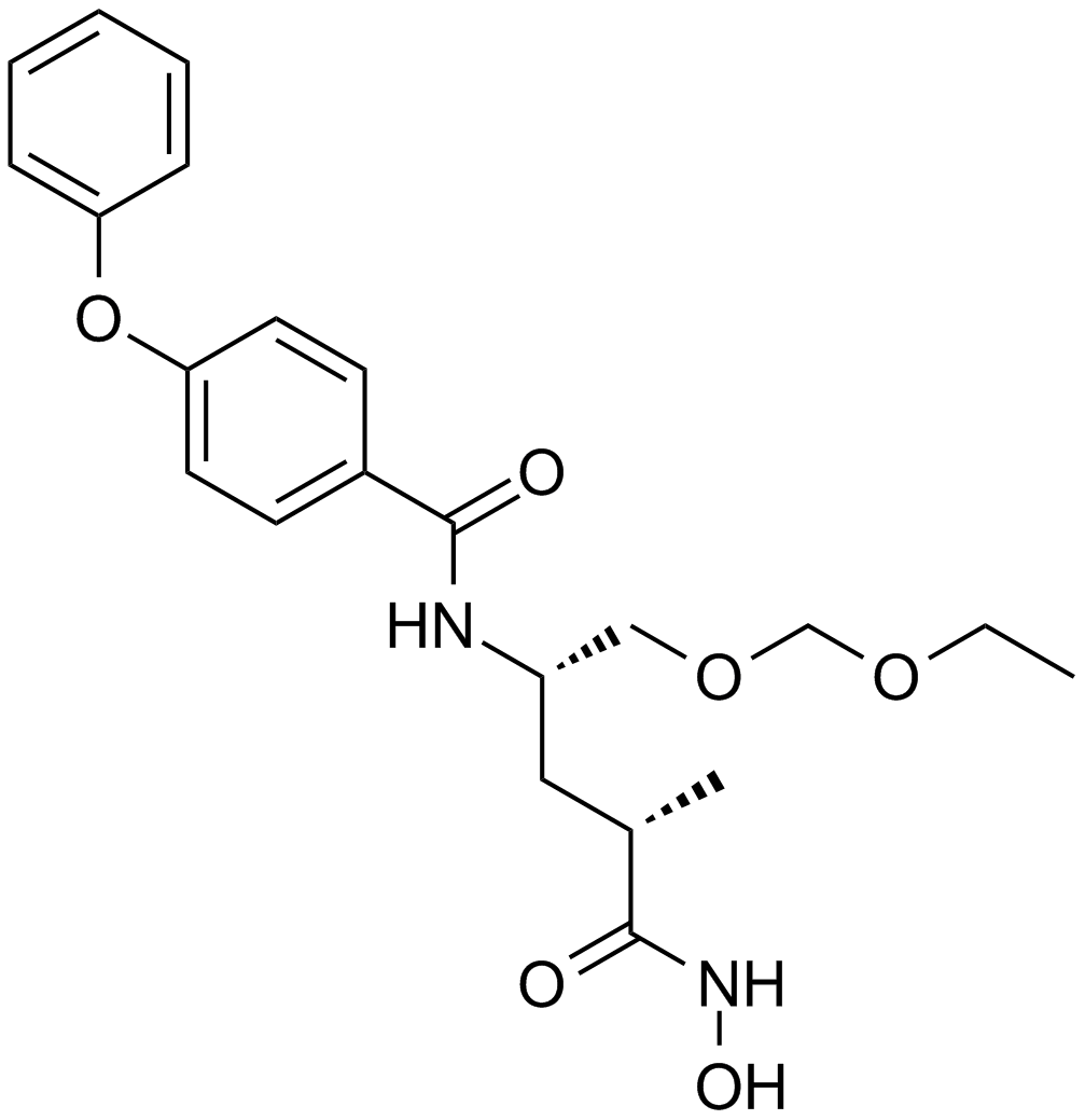 ONO 4817