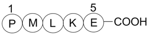 Bax inhibitor peptide P5