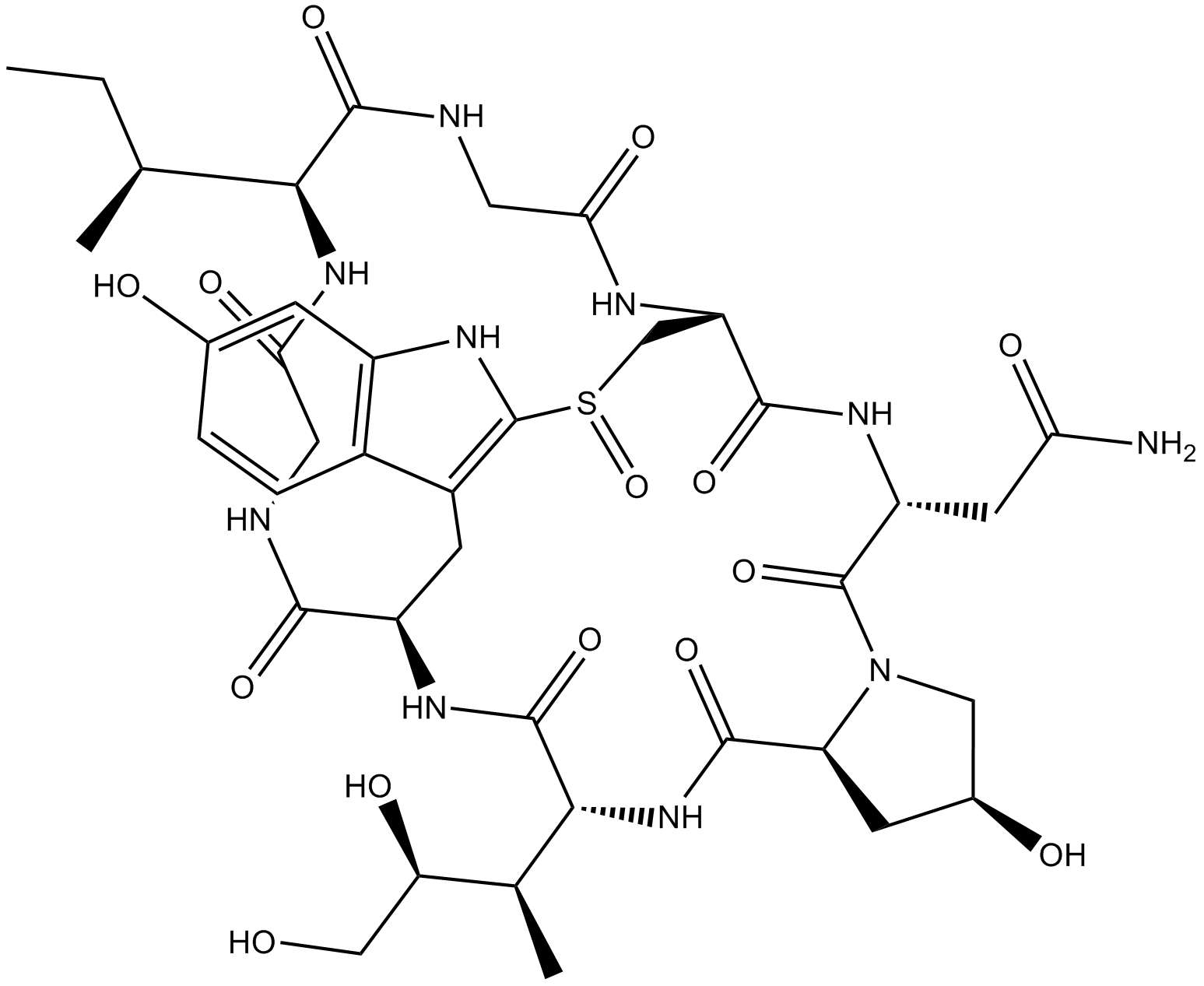 α-Amanitin