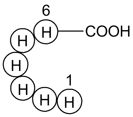 Hexa His tag peptide