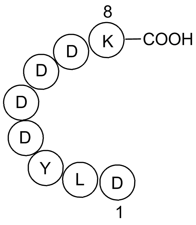 X-press Tag Peptide