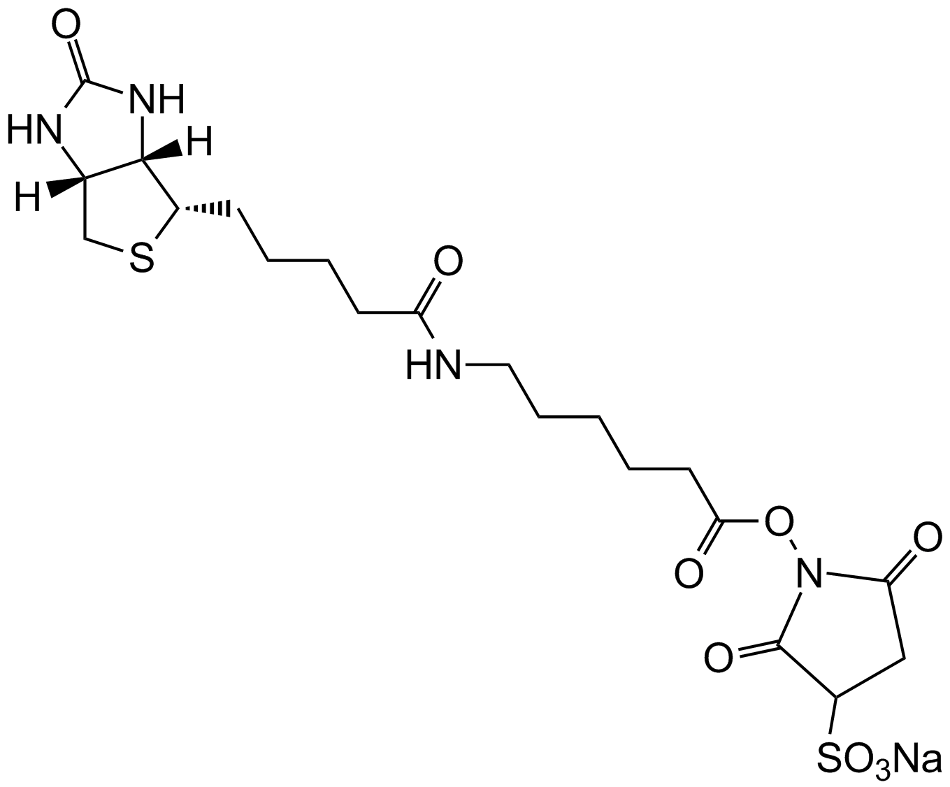 Sulfo-NHS-LC-Biotin