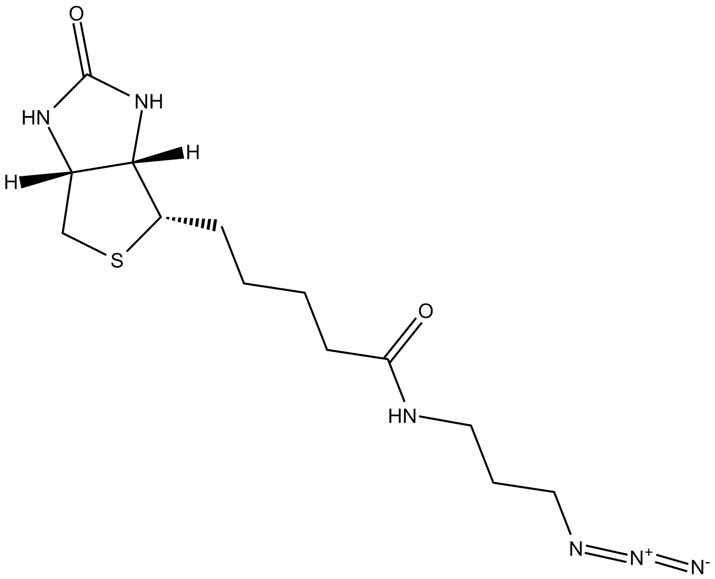 Biotin-azide