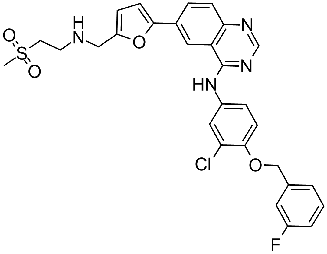 Lapatinib