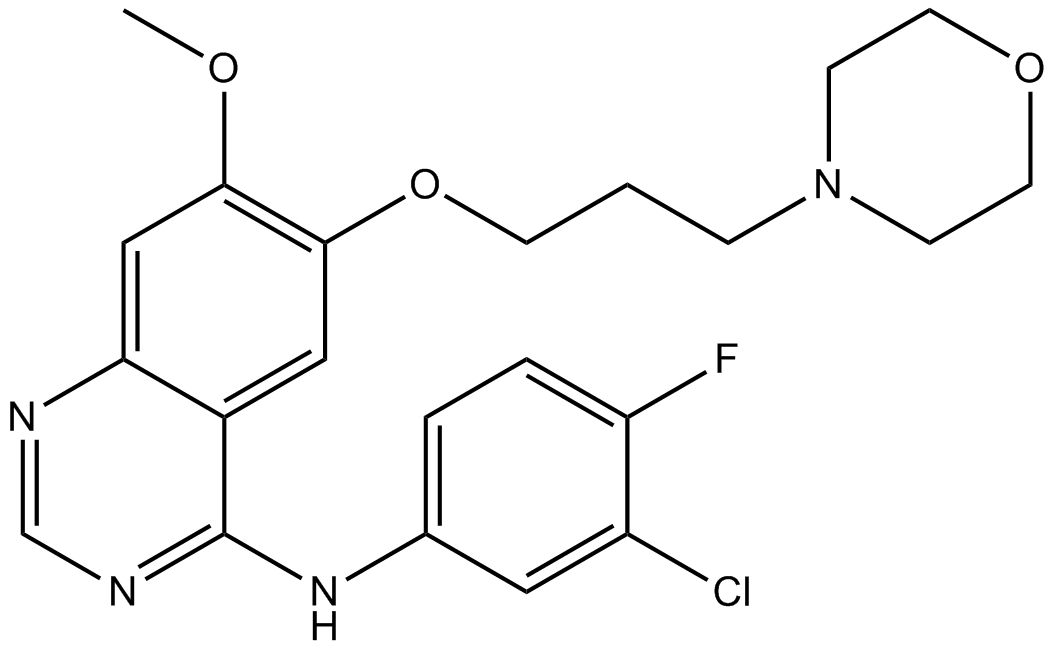 Gefitinib (ZD1839)