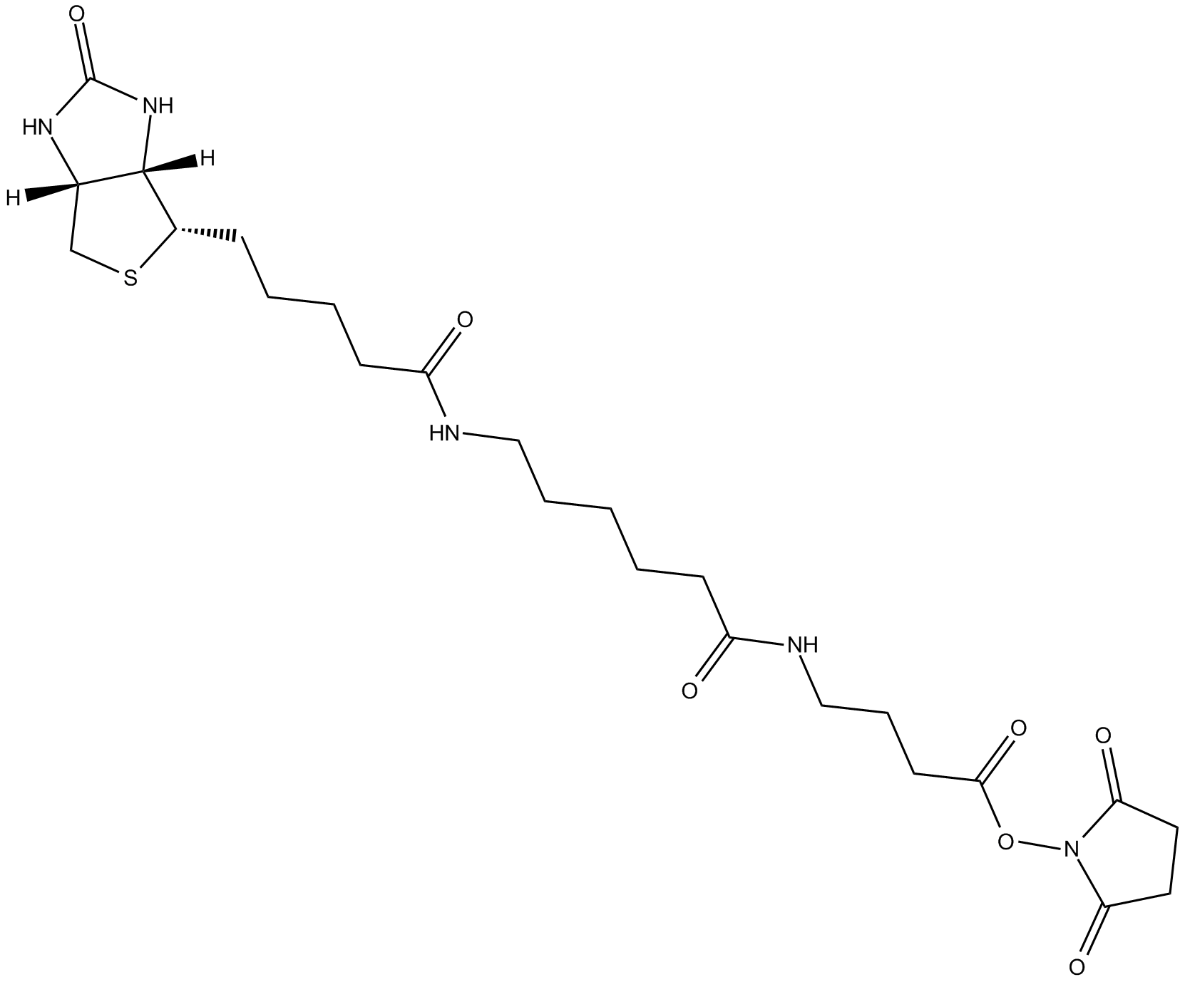 NHS-12-Biotin